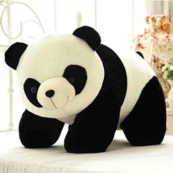 Urso de pelúcia gigante Panda Link 80cm
