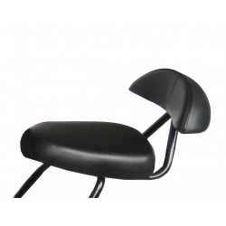 Asiento adicional Citycoco ATAA CARS PATINETES