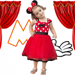 Fantasia infantil Minnie
