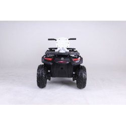 Quad Ataa Hunter