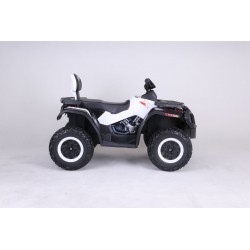 Caçador Quad Atao