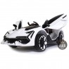 ATAA F1 Racing