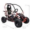 Buggy Safari 36v