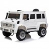 Mercedes UNIMOG LS500