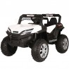 Buggy little 12v