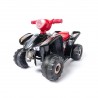 QUAD RASPI