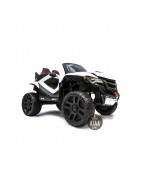 Go Karts y Buggy eléctricos para niños con batería 12v 24v 36v