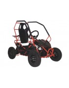 Macchine elettriche per bambini e buggies a batteria 36v
